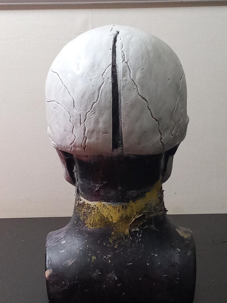 Skeletor 87 mask